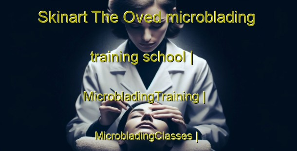 Skinart The Oved microblading training school | MicrobladingTraining | MicrobladingClasses | SkinartTraining-Denmark